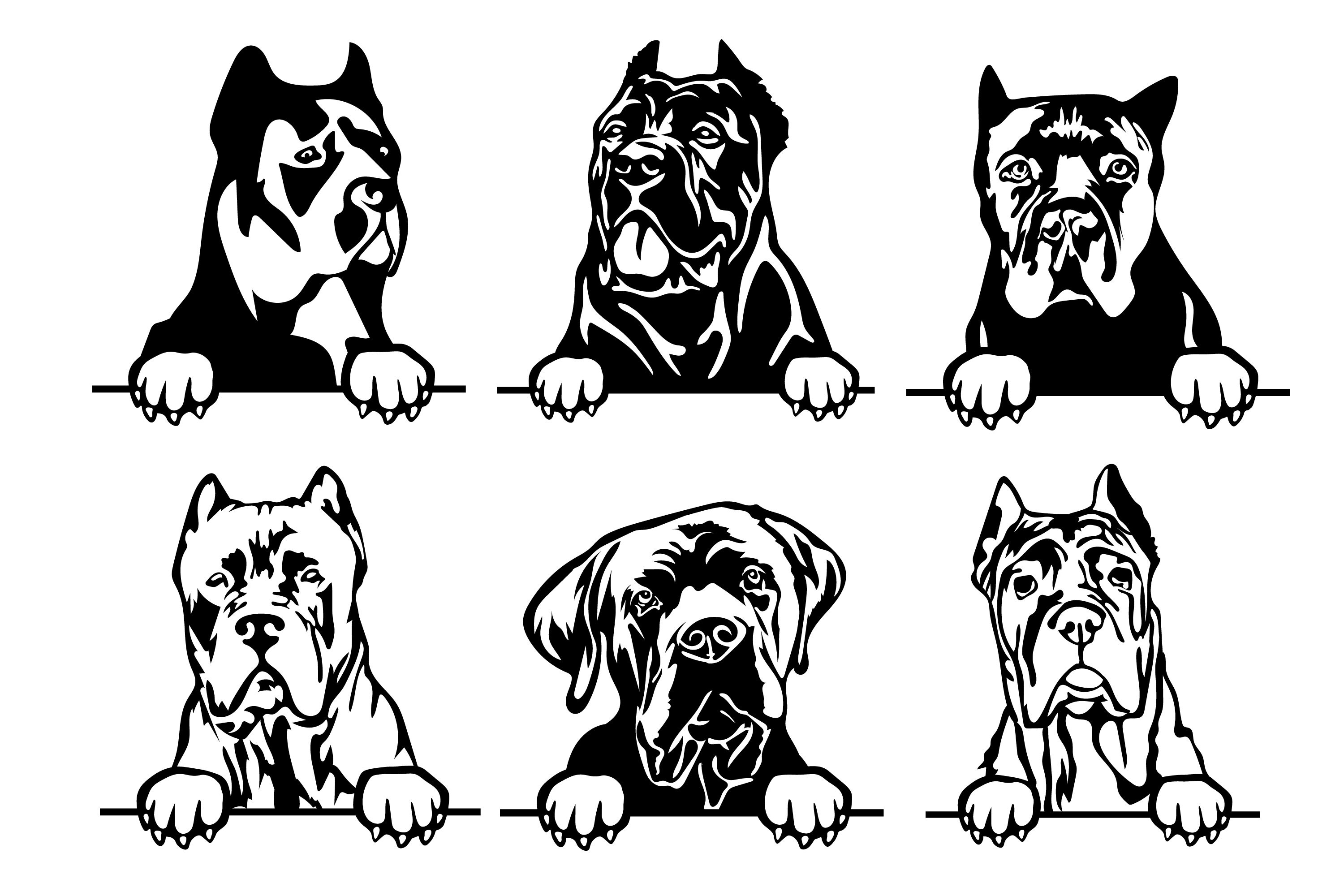 Тату кане корсо эскиз