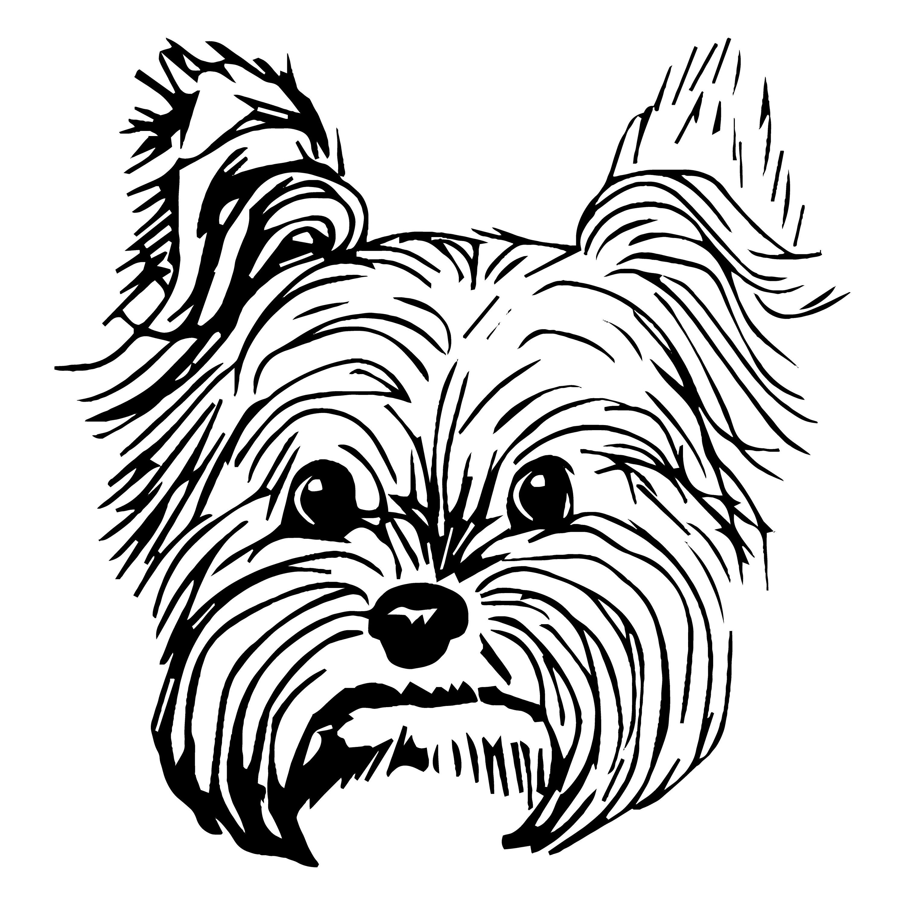 Download Yorkshire Terrier 2 Puppy Peeking Yorkie Dog Breed K-9 | Etsy