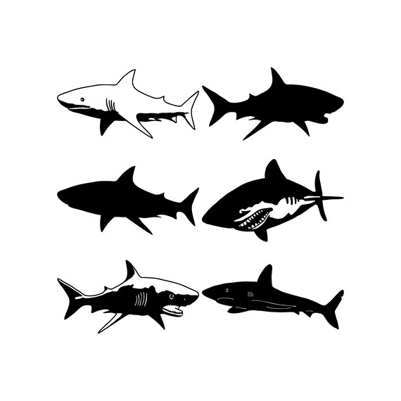 Free Free 245 Svg Outline Baby Shark Clipart SVG PNG EPS DXF File