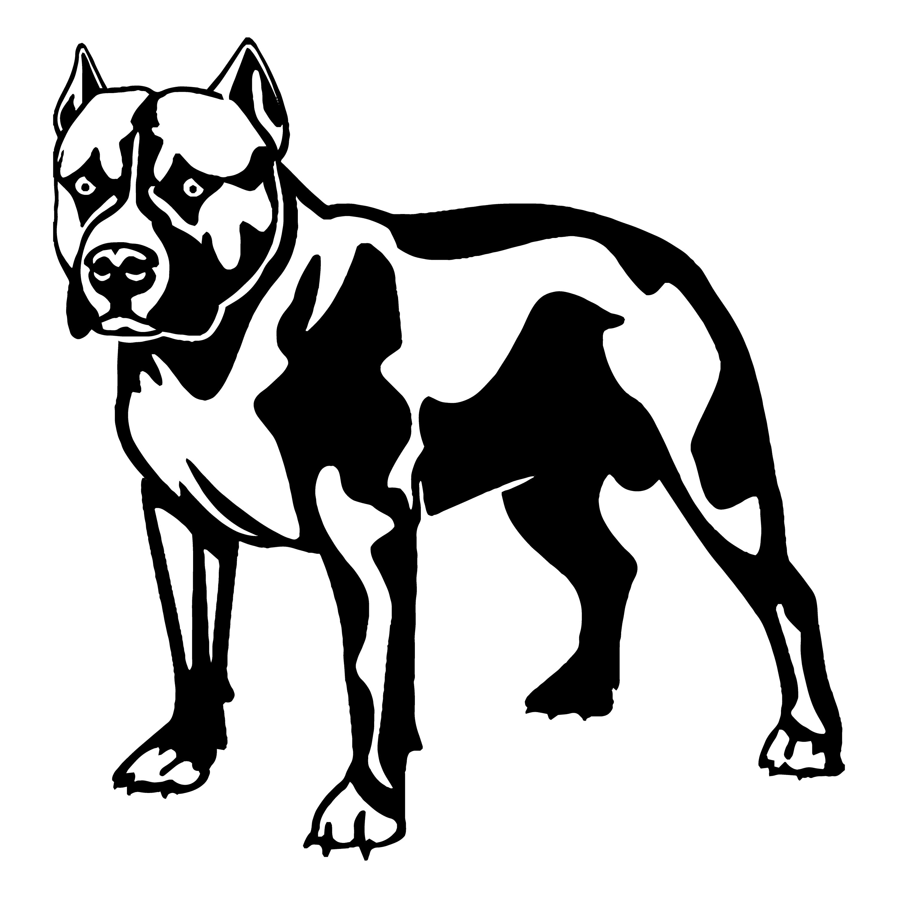 can a american pit bull terrier live in romania