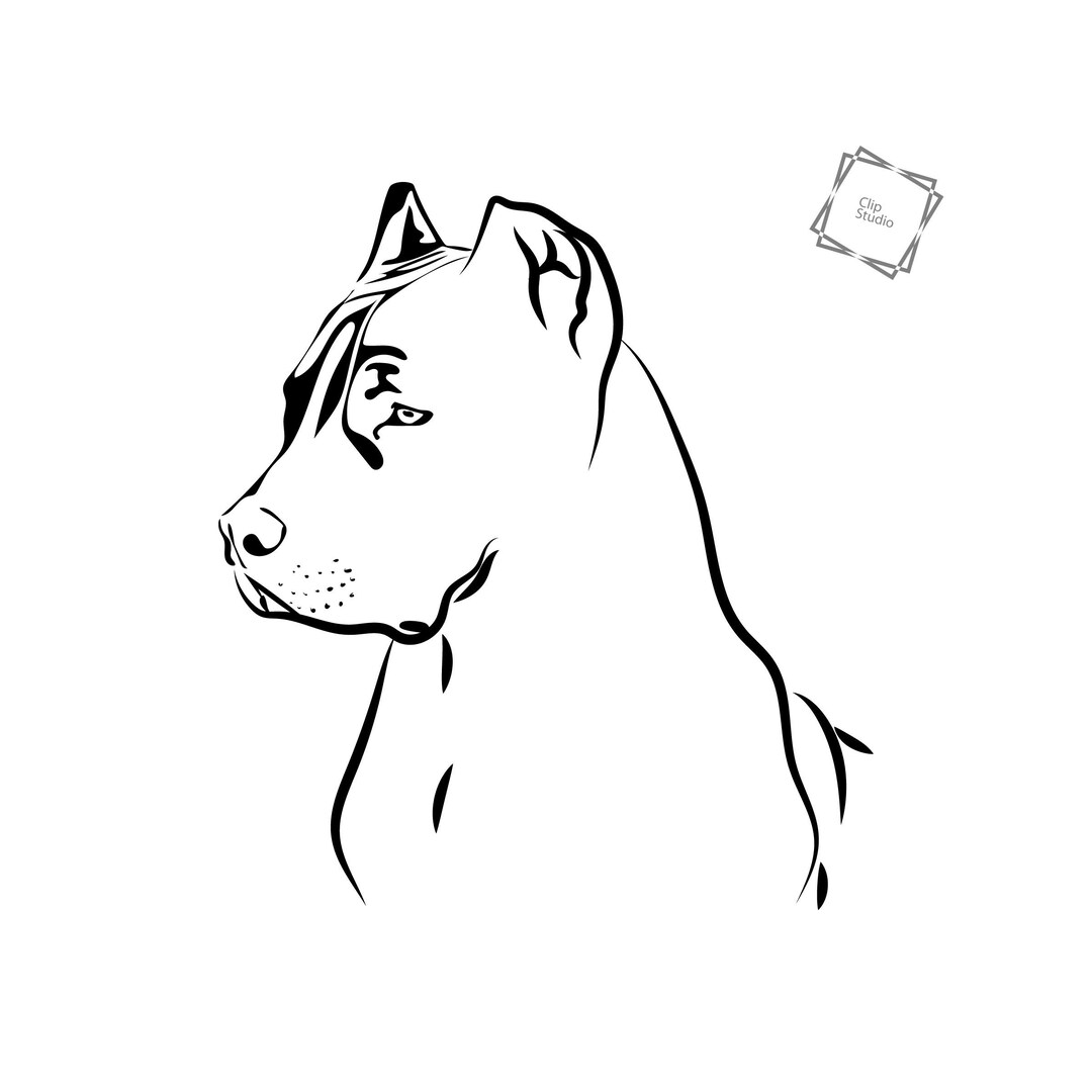 LV Monogram Dog Collar (Large Breed) — Frostytch