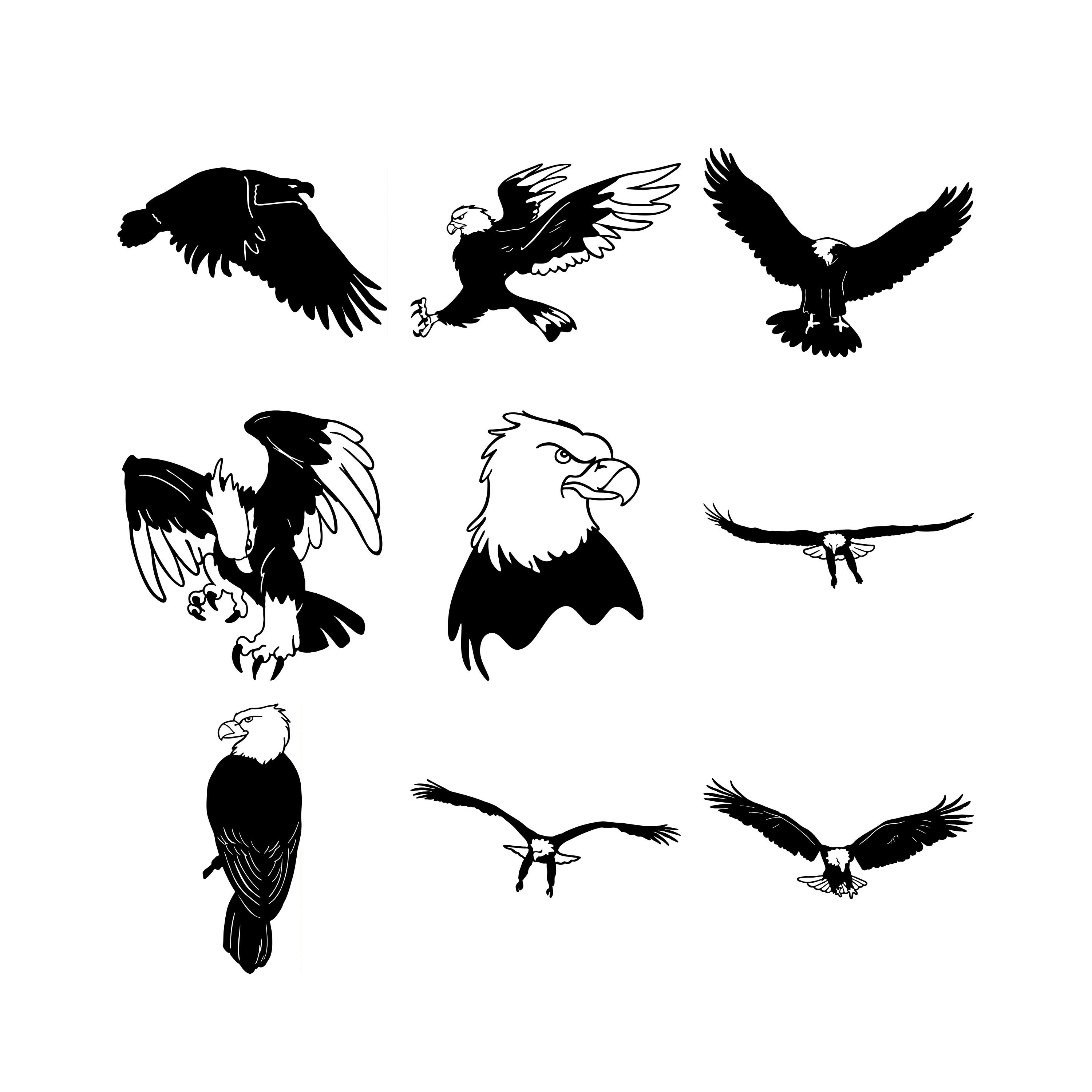 Eagle Graphics Svg Dxf Eps Png Jpg Vector Art Clipart Instant Etsy
