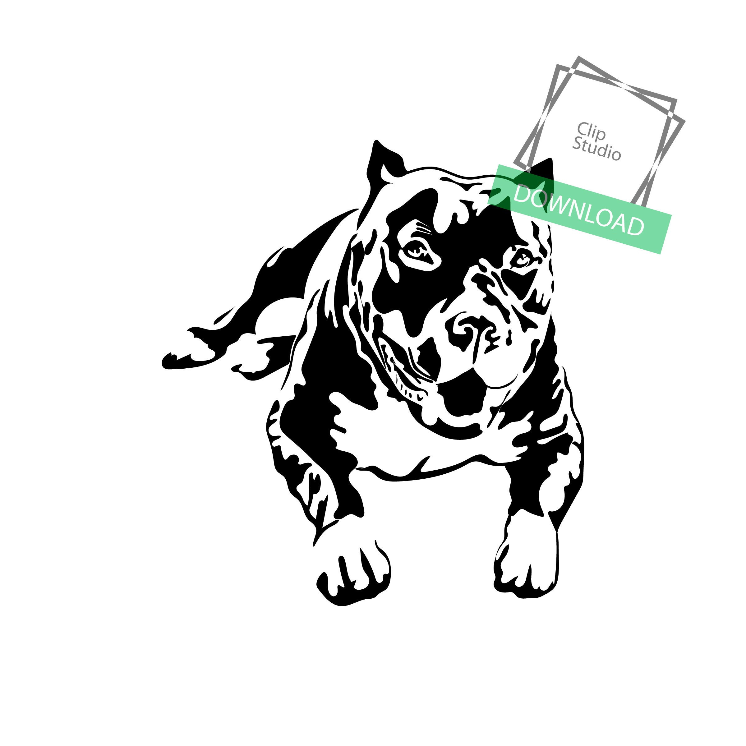 American Pit Bull 12 Pitbull Bully Staffordshire Terrier Pit - Etsy