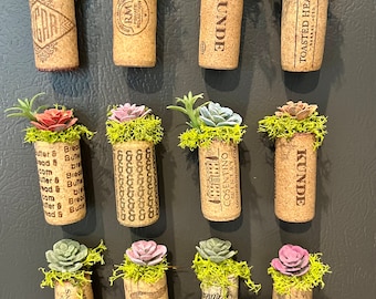 Wedding / Baby Shower Favors- Colorful Faux Succulent Wine Cork Refrigerator Magnets