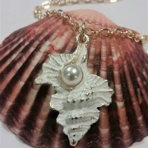 Conch Shell Necklace with Pearl, Seashell Necklace, Beach Necklace, Ladies Seashore Necklace. Seashell Pendant Necklace, Seashell Gift