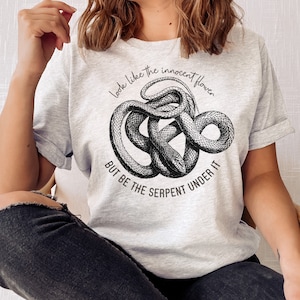 Shakespeare shirt, renaissance shirt, poet shirt, bookish booktok merch, English teacher gift, Romeo and Juliet, Shakespeare gifts