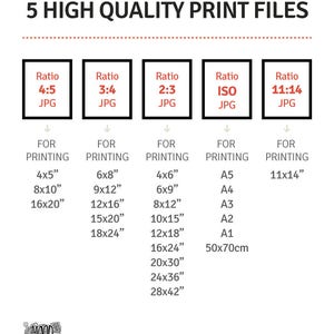 May include: A graphic showing five different aspect ratios for digital images, with the text "You will get 5 high quality print files". The aspect ratios are 4:5, 3:4, 2:3, ISO, and 11:14. Each ratio is labeled with "JPG" and has a list of common print sizes in inches. The text "If you need any other size please let me know" is at the bottom of the graphic.