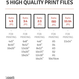 May include: A graphic showing five different aspect ratios for digital images, with their corresponding print sizes in inches and centimeters. The ratios are 4:5, 3:4, 2:3, ISO, and 11:14. The text "YOU WILL GET 5 HIGH QUALITY PRINT FILES" is at the top of the graphic.