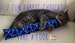16” Catnip toy - Large Kicker - cat toy - cat gift - organic catnip - large kicker toy 