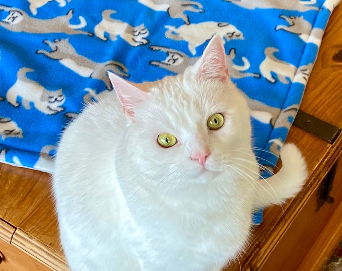 Gray and White Cat Blanket with Bonus Catnip Toy!