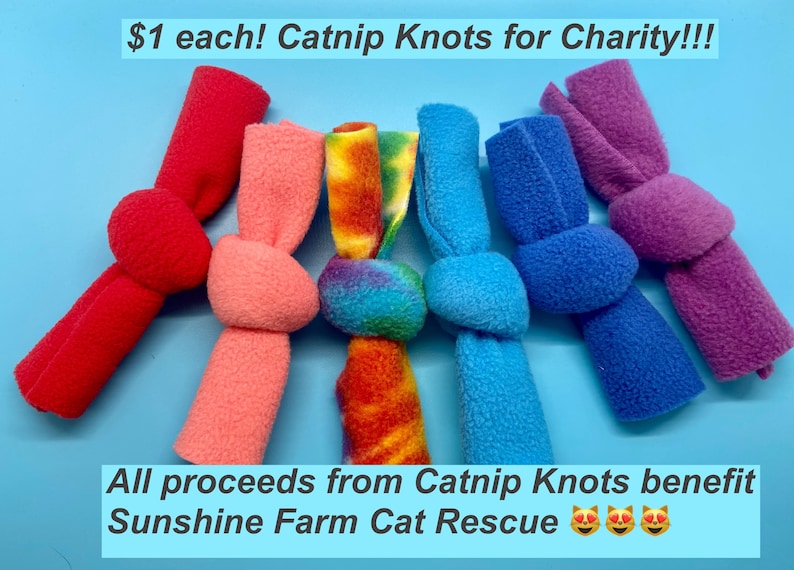 Catnip Pillows Set of 2 Catnip Toys Cat Toys Catnip Pillow Etsy