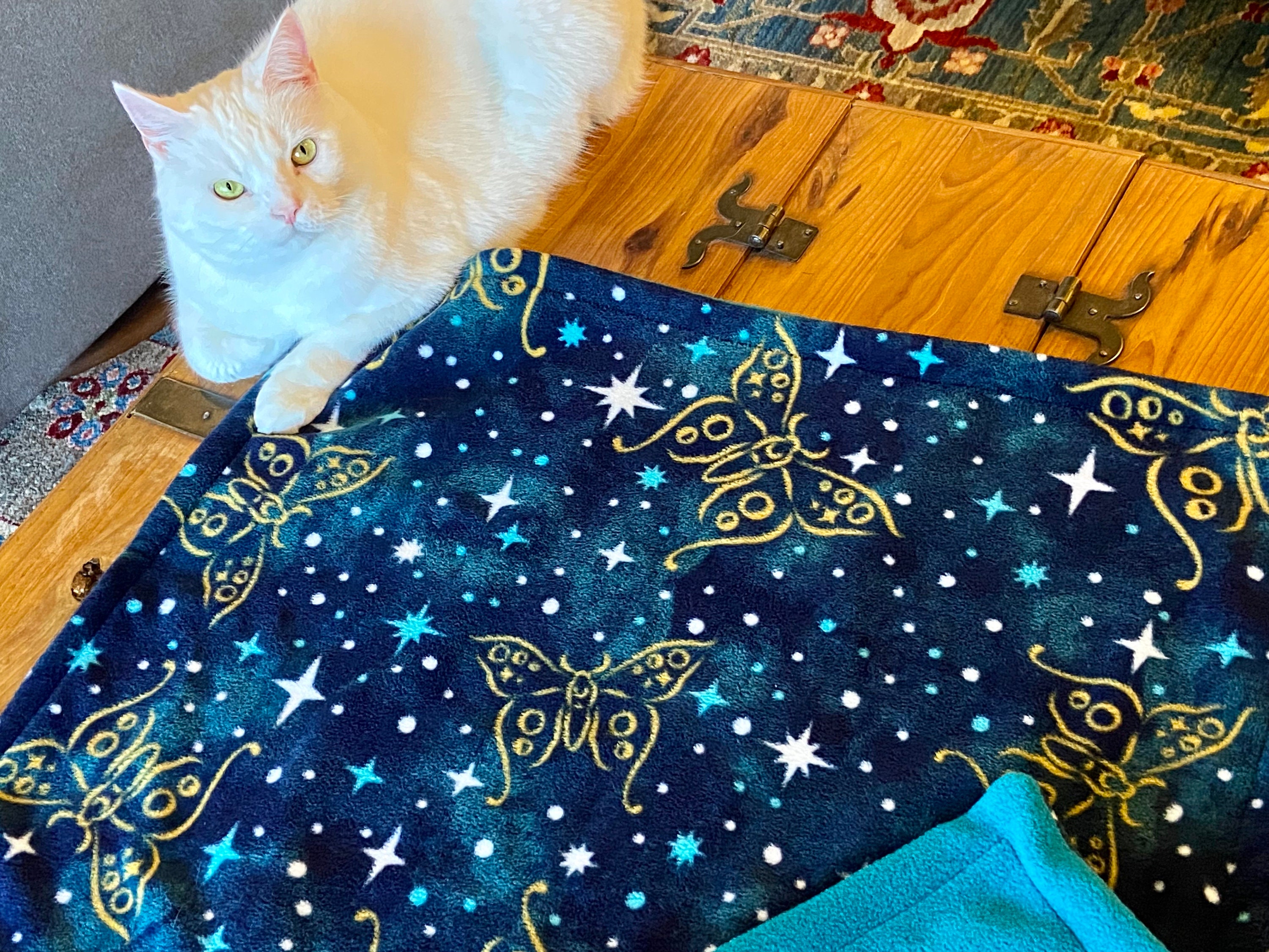 Yin and Yang Cat Blanket with Bonus Catnip Toy!