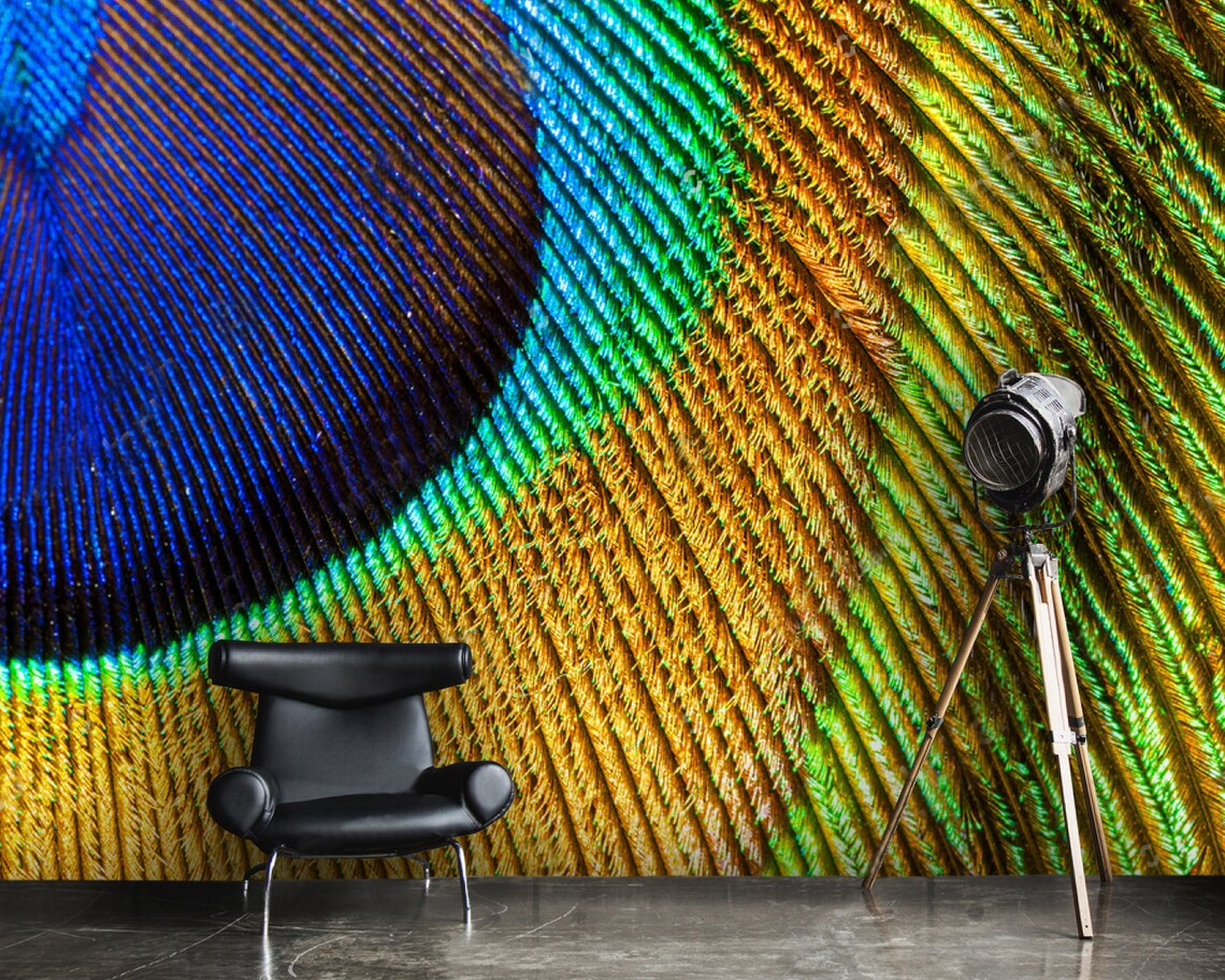 Wallpaper Peacock Plume Peel and Stick Vinyl Self Etsy