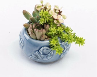 Kexle Ceramic Flower Pot Succulent Flower Pot Navy Blue Gardening Home Succulent Vase Plant 
