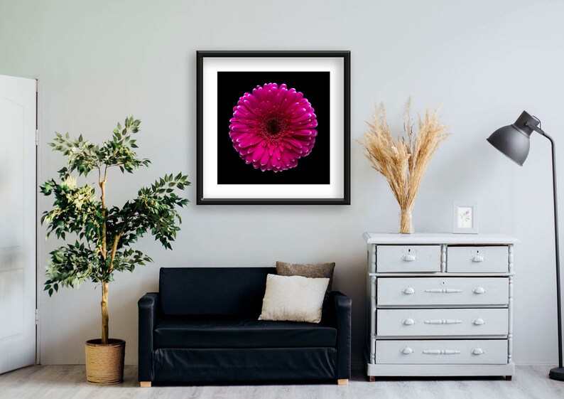 Office Big Photo Home Vertical Wall Art Minimal Photography Decor 2019 Pink gerbera black background Fine Art Gicl\u00e9e Print