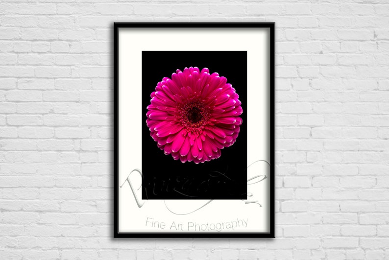 Office Big Photo Home Vertical Wall Art Minimal Photography Decor 2019 Pink gerbera black background Fine Art Gicl\u00e9e Print