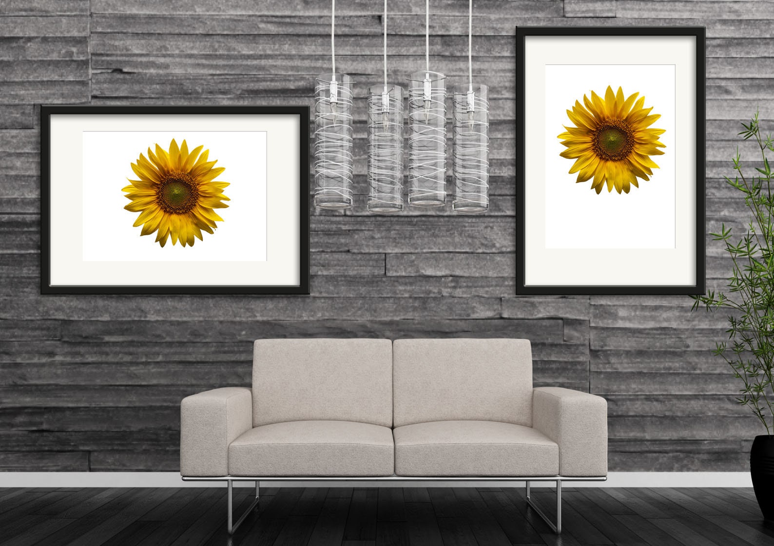 Sunflower 3 white background Wall Art Minimal Photography | Etsy
