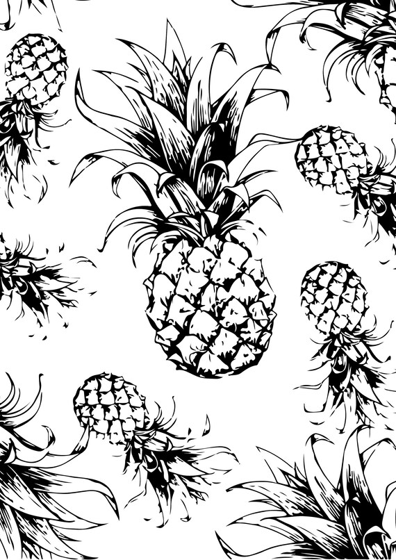 20 Latest Pineapple Drawing Picture Barnes Family
