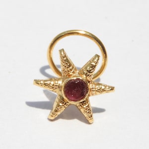 May include: Gold nose ring with a star-shaped design and a red gemstone in the centre.