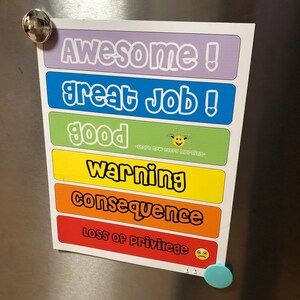 Pode incluir: Um gr&aacute;fico colorido com as palavras "Awesome!" "Great Job!" "Good" "Warning" "Consequence" e "Loss of Privilege" impressas nele. Cada palavra est&aacute; em uma faixa de cor separada. O gr&aacute;fico est&aacute; em uma geladeira de a&ccedil;o inoxid&aacute;vel.