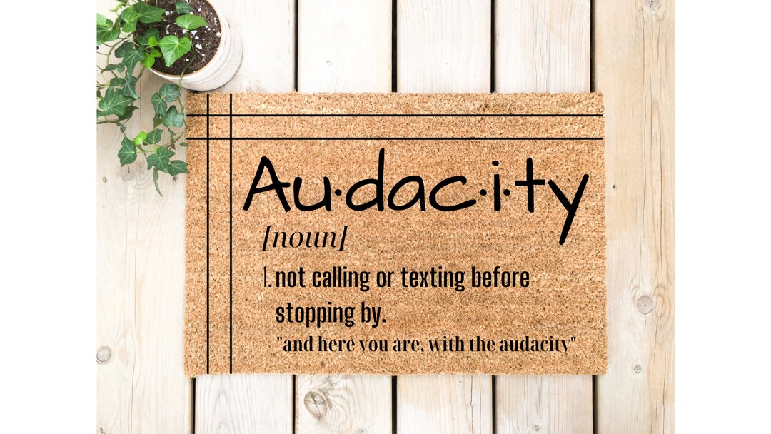 Audacity Door Mat Funny Door Mat Funny Gift Housewarming Gift Front