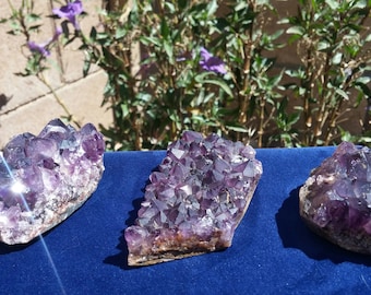 0.79LB Natural Dark Purple Amethyst Quartz Crystal Clusters 3PCS
