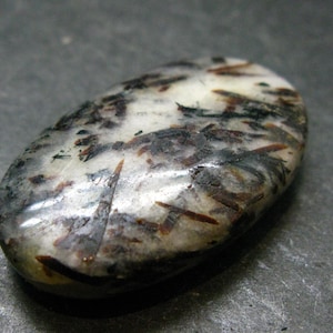 May include: An oval-shaped polished gemstone featuring a smooth, glossy surface with a white base color. The stone is patterned with dark black and reddish-brown needle-like inclusions that are distributed throughout the entire surface area.