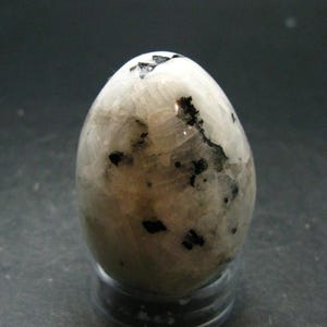 Puede incluir: Una piedra pulida en forma de huevo que presenta una base de color blanco roto translúcido con estructuras cristalinas internas visibles e inclusiones minerales negras irregulares dispersas por toda la superficie, apoyada sobre una base circular transparente.