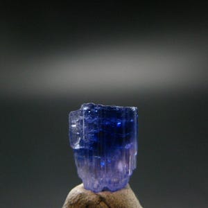 Peut inclure: Un cristal de tanzanite brut et translucide présentant un dégradé de couleurs distinct, passant d'un bleu royal profond et saturé au sommet à une teinte violette plus claire à la base, avec des stries et des facettes verticales naturelles.