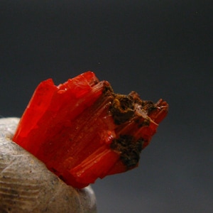 Großer Oranger Krokoit Kristall Aus Australien - 1,5 cm - 10.5 Carat