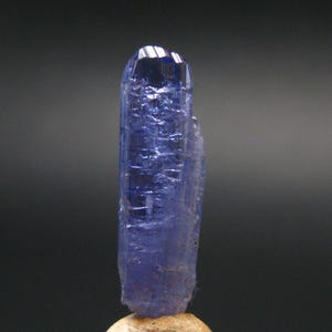 May include: A striking tanzanite crystal, displaying a rich blue-violet colour. The gemstone is mounted on a small, light-coloured base, set against a dark backdrop. The crystal's surface has visible textures and facets.