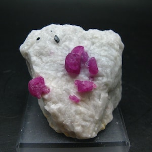 May include: A white rock formation featuring several vivid, deep pink ruby crystals. The rubies are of varying sizes and shapes, set against the rough, textured surface of the host rock. A small, dark mineral is also visible.