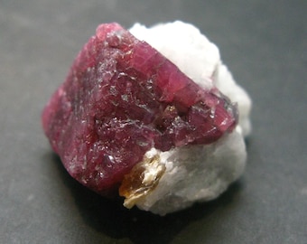May include: A deep red ruby crystal with a rough, faceted surface. The ruby is set in a white matrix.