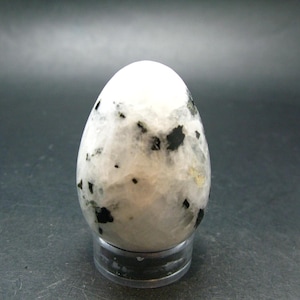 May include: A polished, egg-shaped moonstone specimen featuring a smooth, white, and translucent surface with distinct, scattered black mineral inclusions throughout. The stone is displayed upright on a small, clear, circular plastic stand.