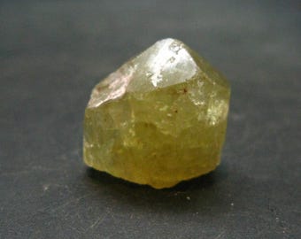 Duży Złoty Kryształ Apatytu Z Meksyku - 0,5" - 8,52 Grama