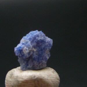 May include: A small, rough-textured, blue mineral specimen. The mineral is a vibrant blue color and sits atop a light-colored, rounded base, set against a dark background. The overall composition highlights the natural beauty of the stone.