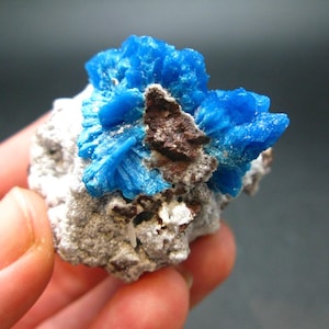May include: A cluster of bright blue azurite crystals on a matrix of white and brown rock. The crystals are sharp and well-defined, with a glassy luster.