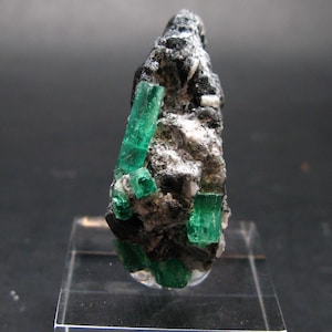 Cristales de berilo esmeralda en matriz de Colombia - 4,8 cm