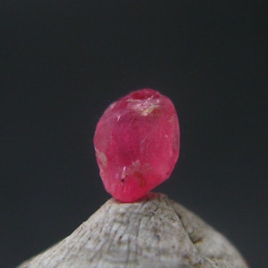 Puede incluir: Una gema rosa vibrante, de forma ovalada, descansa sobre una superficie clara y texturizada. La gema tiene una cualidad translúcida, con sutiles variaciones de color y textura. El fondo es de un gris oscuro sólido.