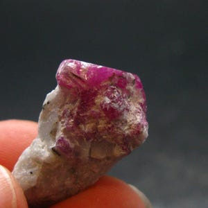 Ruby Cluster on Matrix from Afghanistan - 1.0" - 4.82 Grams