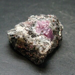Op de afbeelding: Een ruwe, ongeslepen edelsteen met een diepe magentakleur, gezet in een matrix van grijze, witte en zwarte mineralen. Het oppervlak van de steen is getextureerd en onregelmatig, wat de natuurlijke, onbewerkte staat laat zien. Een ruw geologisch exemplaar.