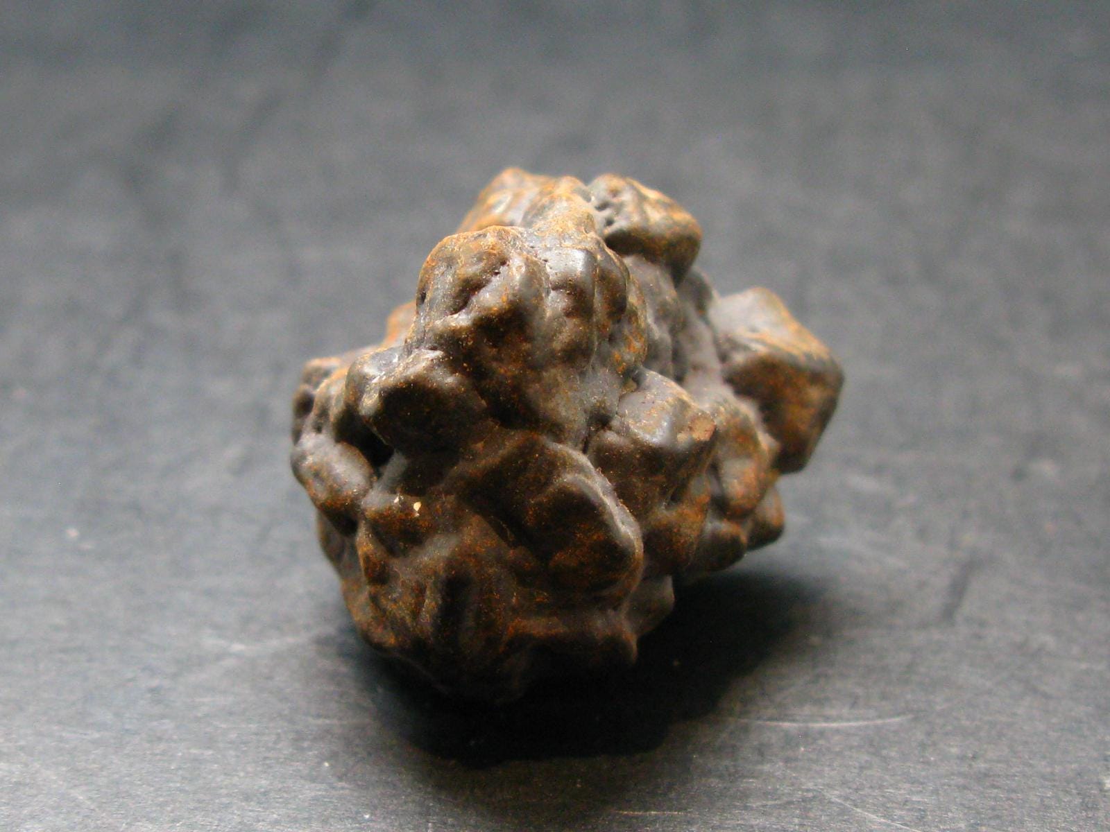 Very Rare Z-stone (limonite After Marcasite) From Sahara Dessert