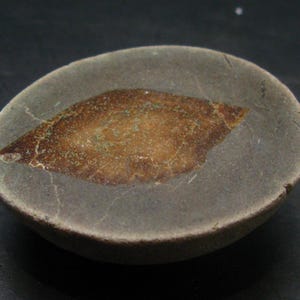 Könnte beinhalten: Ein fossiler Blatteindruck in einem grauen, oval geformten Stein. Das Blatt hat eine warme braune Farbe mit komplizierten Adern und einer rissigen Textur. Der Stein hat einen glatten, abgerundeten Rand und eine leicht raue Oberfläche.