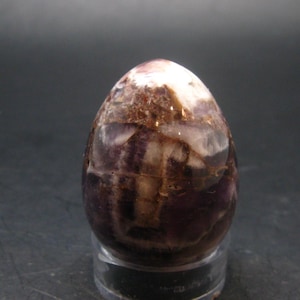May include: A polished, egg-shaped amethyst crystal. The stone has a mix of deep purple, brown, and white hues, with a glossy finish. The crystal is displayed on a clear stand, showcasing its natural beauty.