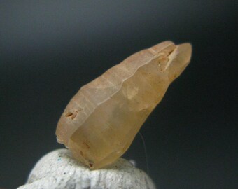 Gran gema de zafiro amarillo de corindón, de Sri Lanka - 1,5 cm - 3,80 quilates