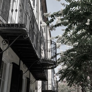 Rainbow Row in Charleston