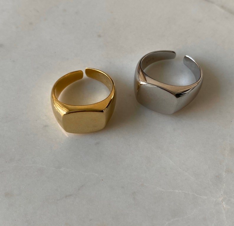 Signet ring for Women / men, Gold pinky ring, Signet ring, Bridesmaids gift, Gold ring, 画像 1