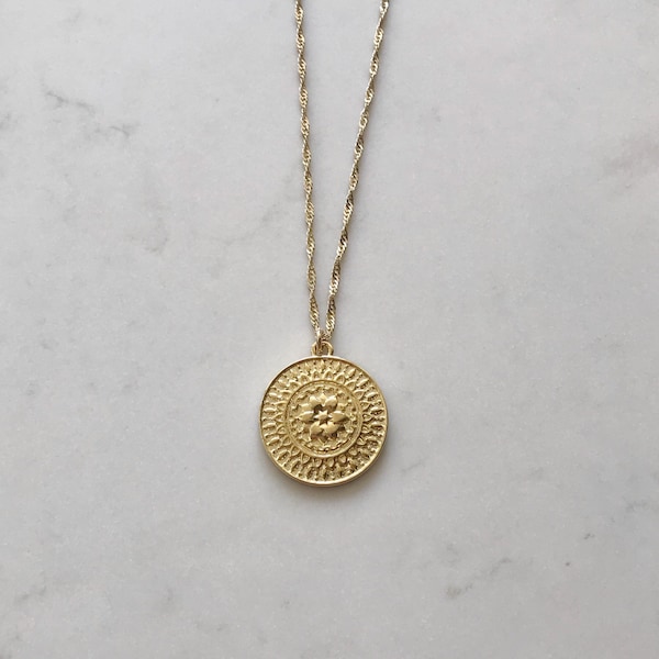 14k gouden medaillonketting, sierlijke gouden munthanger, minimalistische muntketting