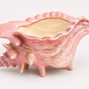 May include: A ceramic planter shaped like a conch shell with a glossy pink exterior finish and a smooth cream-colored interior. The shell features textured ridges, pointed protrusions, and a wide opening, supported by small feet at the base.