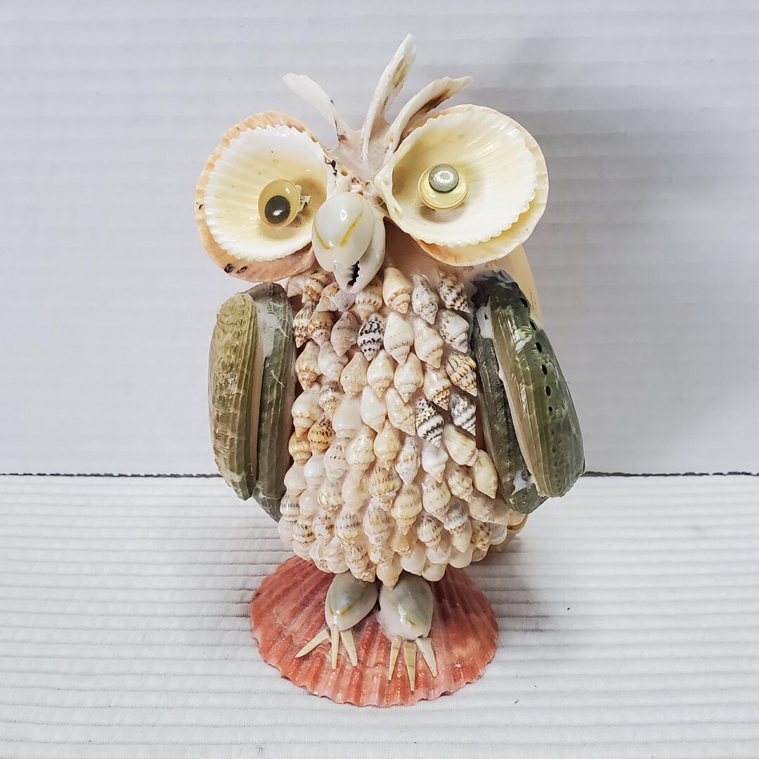 Shell Owl Owl 7